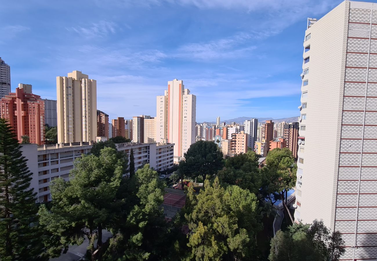 Apartamento en Benidorm - Estudio Playmon Park 10-9 IF Benidorm