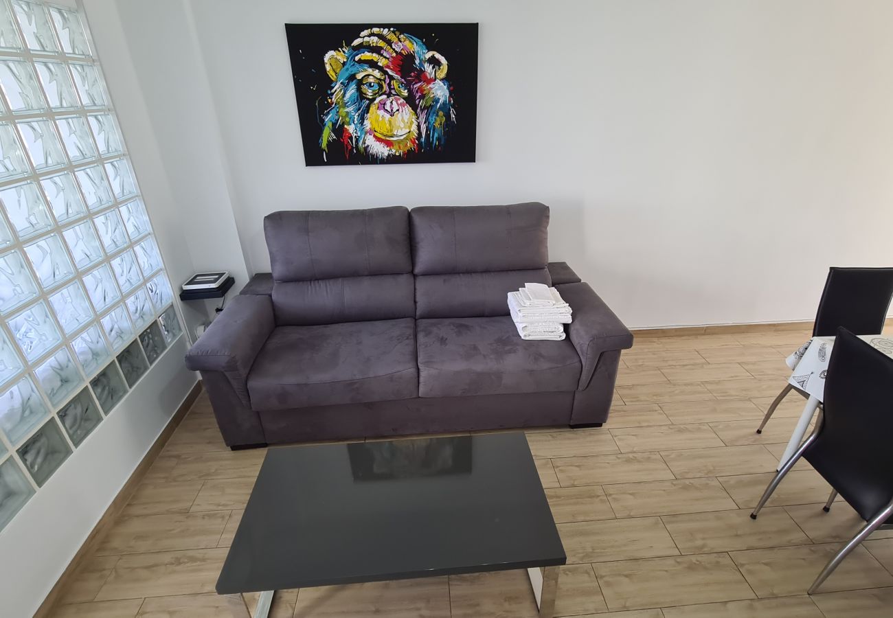 Apartamento en Benidorm - Estudio Playmon Park 10-9 IF Benidorm