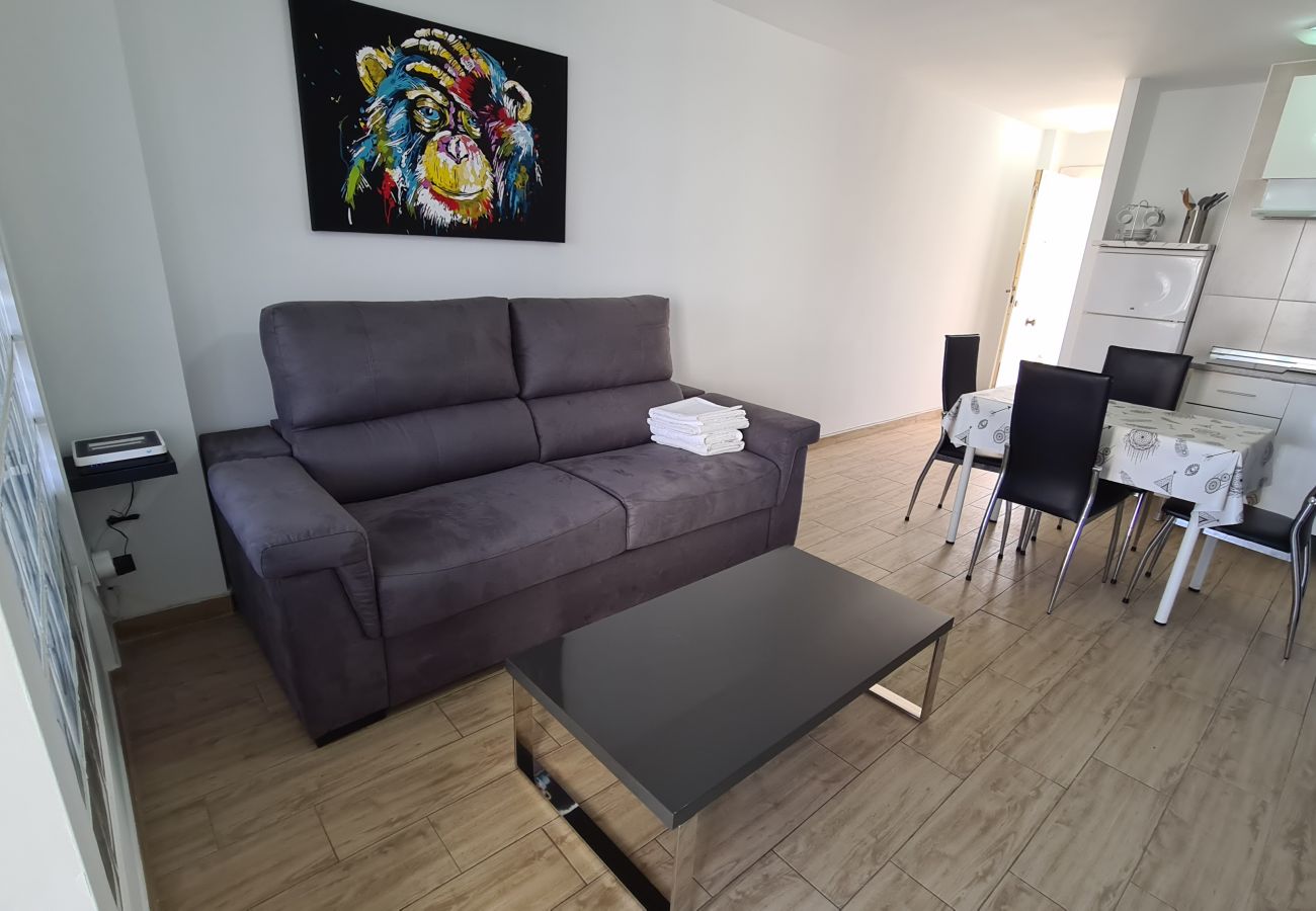 Apartamento en Benidorm - Estudio Playmon Park 10-9 IF Benidorm