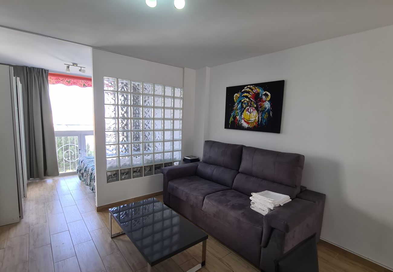 Apartamento en Benidorm - Estudio Playmon Park 10-9 IF Benidorm