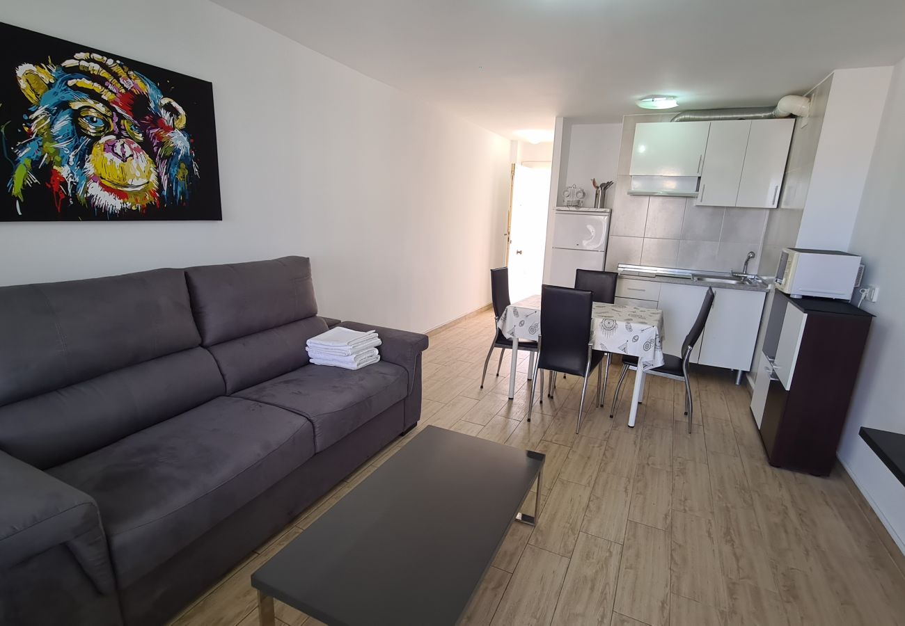 Apartamento en Benidorm - Estudio Playmon Park 10-9 IF Benidorm