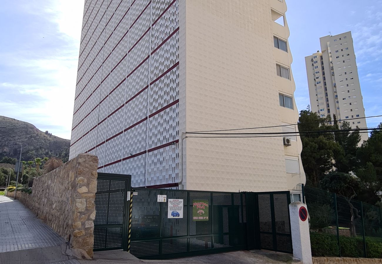 Apartamento en Benidorm - Estudio Playmon Park 10-9 IF Benidorm