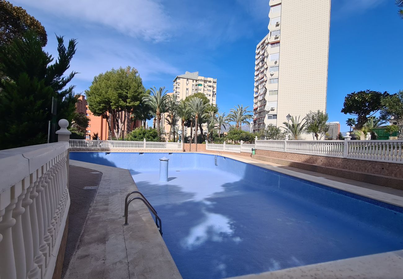 Apartamento en Benidorm - Estudio Playmon Park 10-9 IF Benidorm