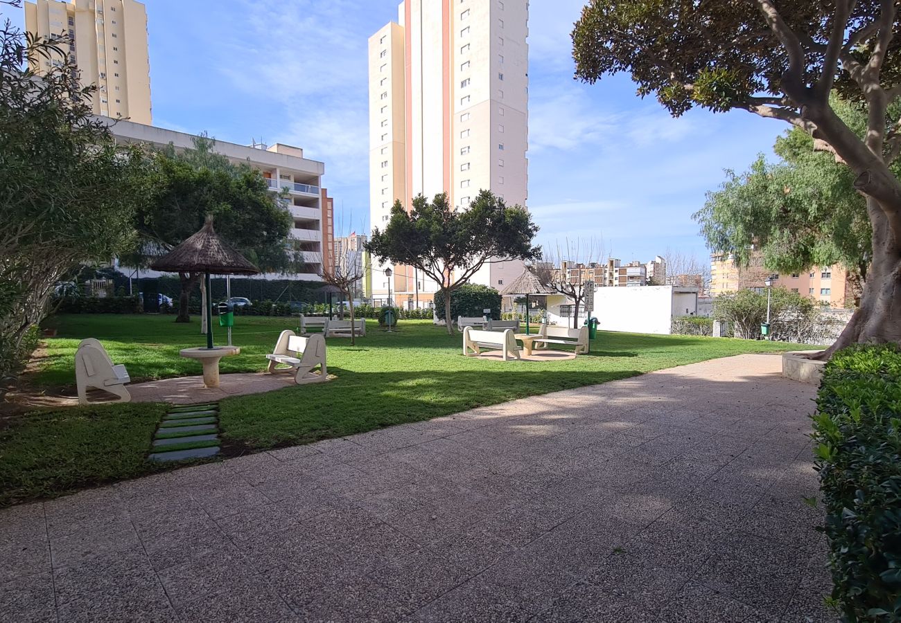 Apartamento en Benidorm - Estudio Playmon Park 10-9 IF Benidorm