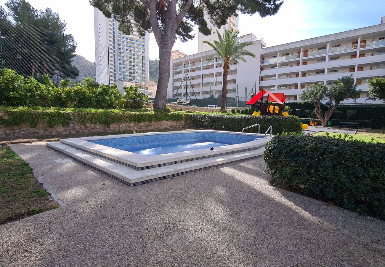 Apartamento en Benidorm - Estudio Playmon Park 10-9 IF Benidorm