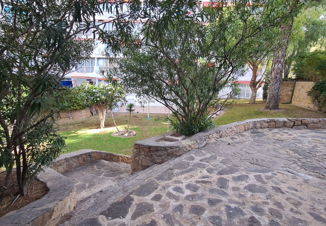 Apartamento en Benidorm - Estudio Playmon Park 10-9 IF Benidorm