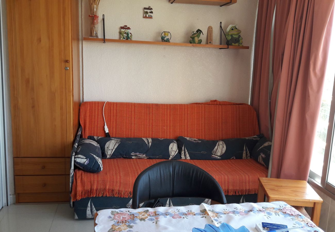 Apartamento en Benidorm - Apartamento  Provima B 4 IF Benidorm