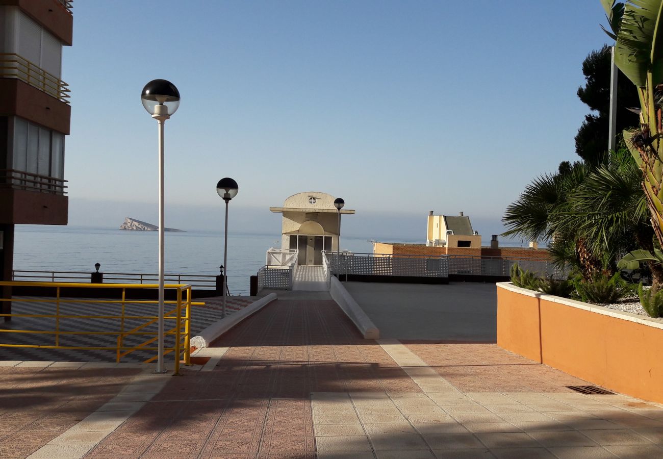 Apartamento en Benidorm - Apartamento  Provima B 4 IF Benidorm