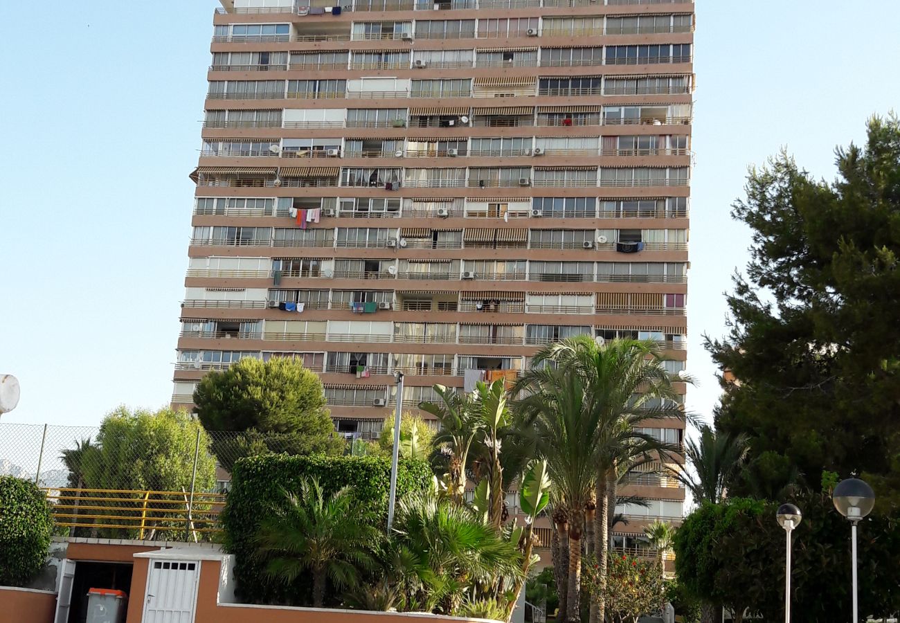 Apartamento en Benidorm - Apartamento  Provima B 4 IF Benidorm