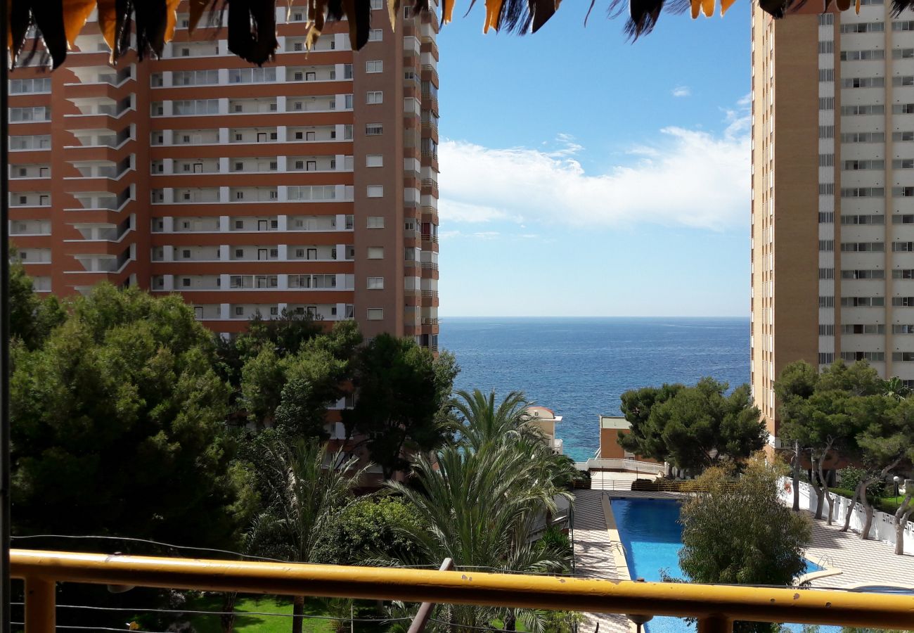 Apartamento en Benidorm - Apartamento  Provima B 4 IF Benidorm