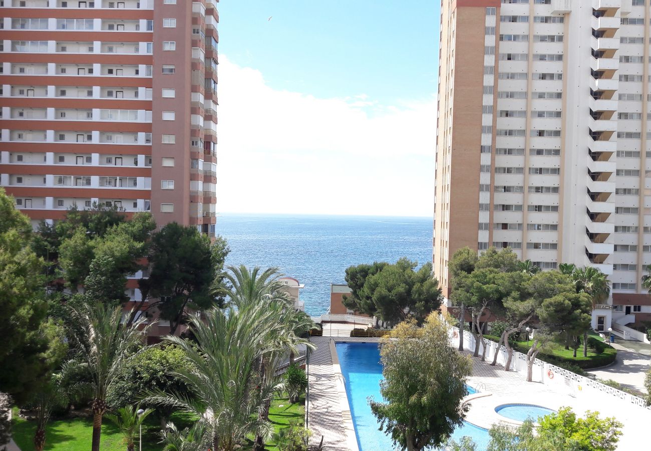 Apartamento en Benidorm - Apartamento  Provima B 4 IF Benidorm