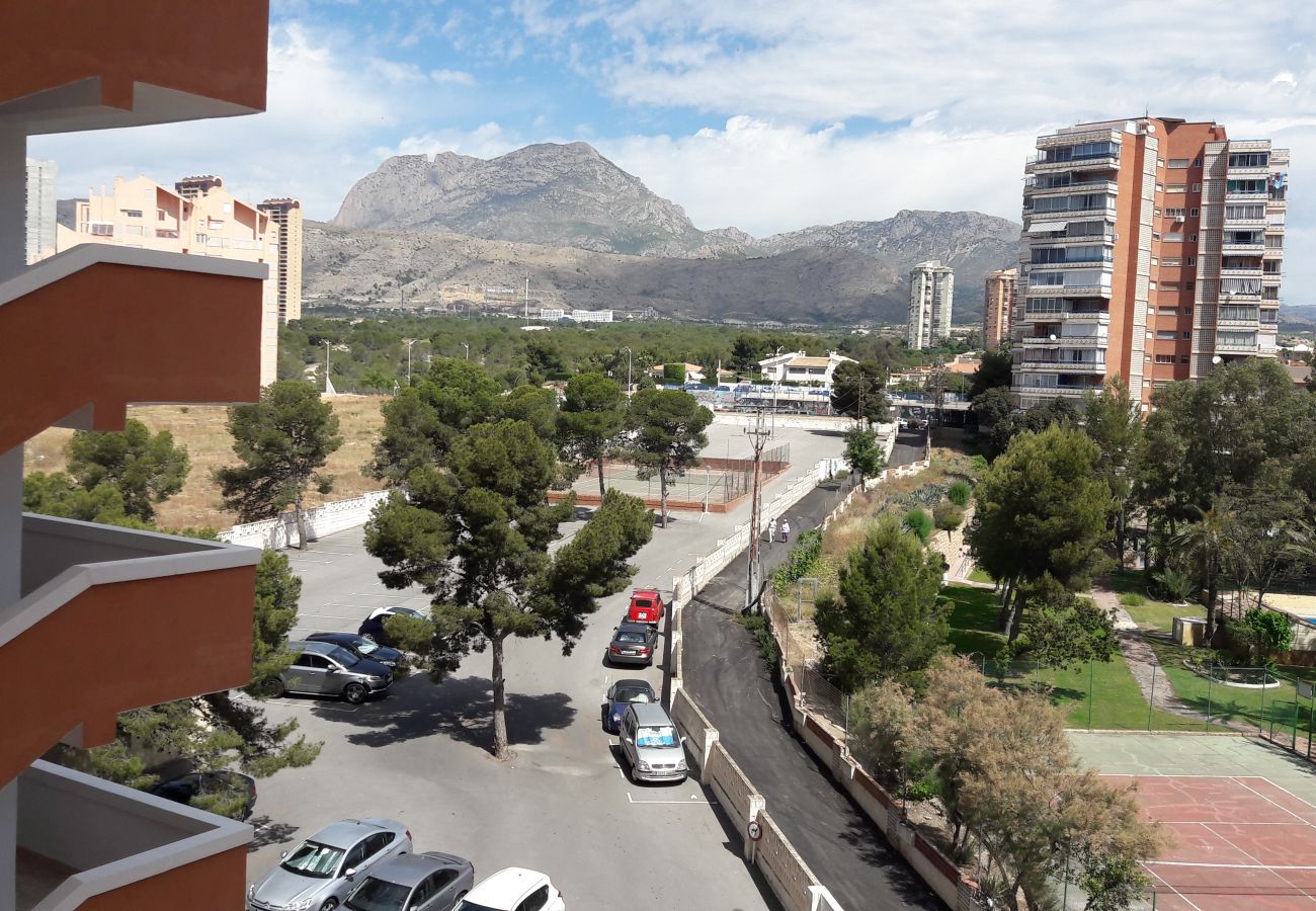 Apartamento en Benidorm - Apartamento  Provima B 4 IF Benidorm