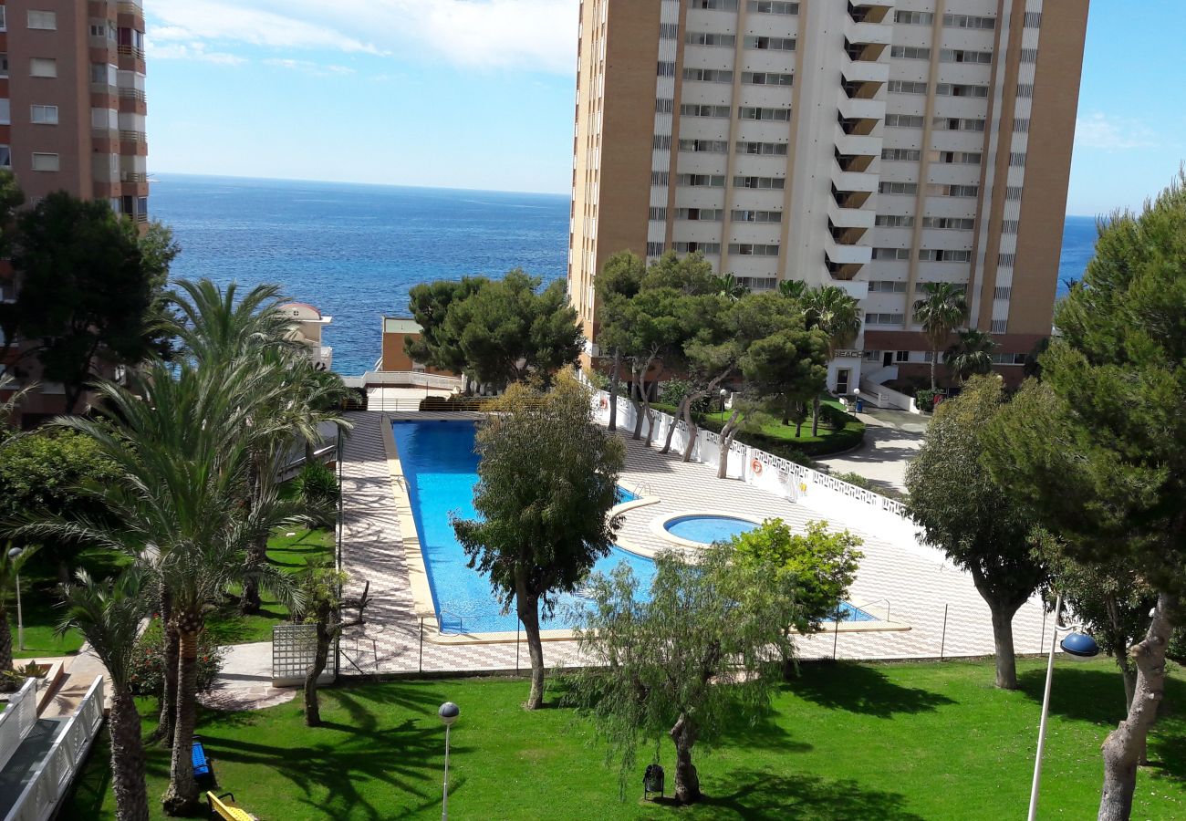 Apartamento en Benidorm - Apartamento  Provima B 4 IF Benidorm