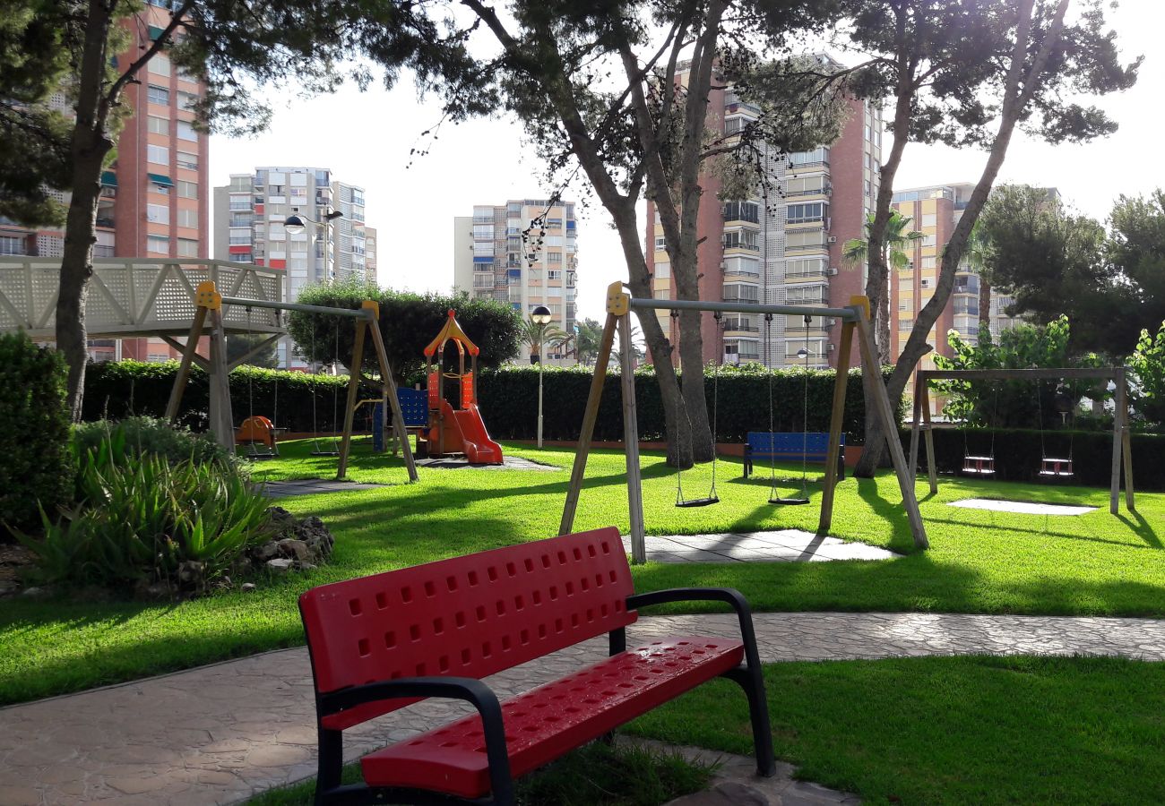 Apartamento en Benidorm - Apartamento  Provima B 4 IF Benidorm