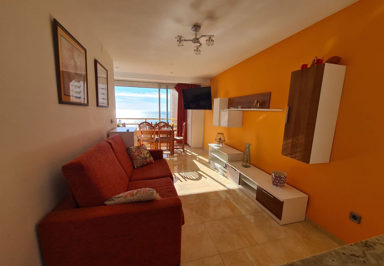 Apartamento en Benidorm - Apartamento  Provima B 5 IF Benidorm