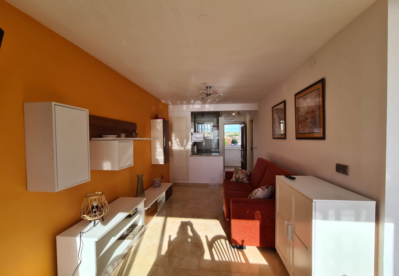 Apartamento en Benidorm - Apartamento  Provima B 5 IF Benidorm