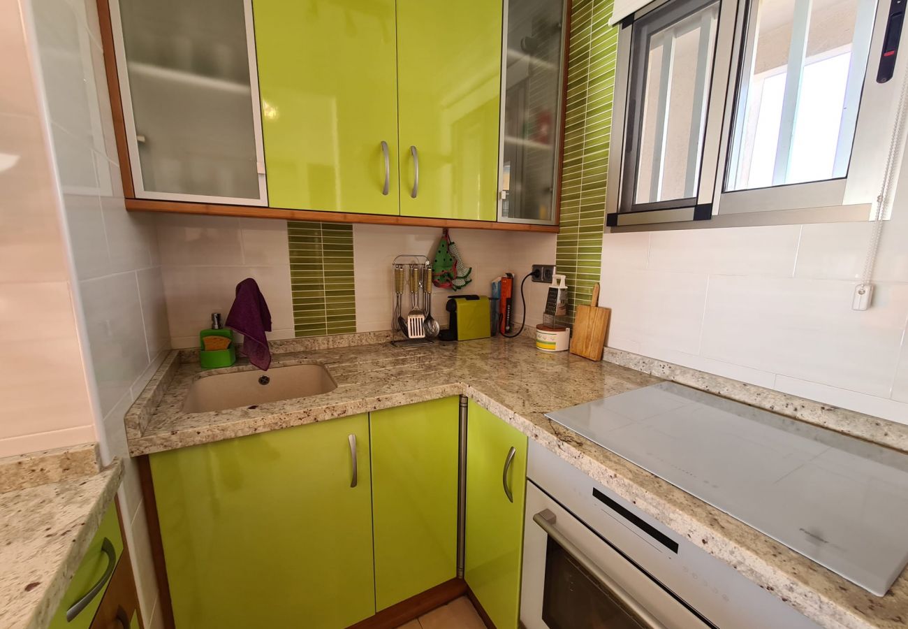 Apartamento en Benidorm - Apartamento  Provima B 5 IF Benidorm