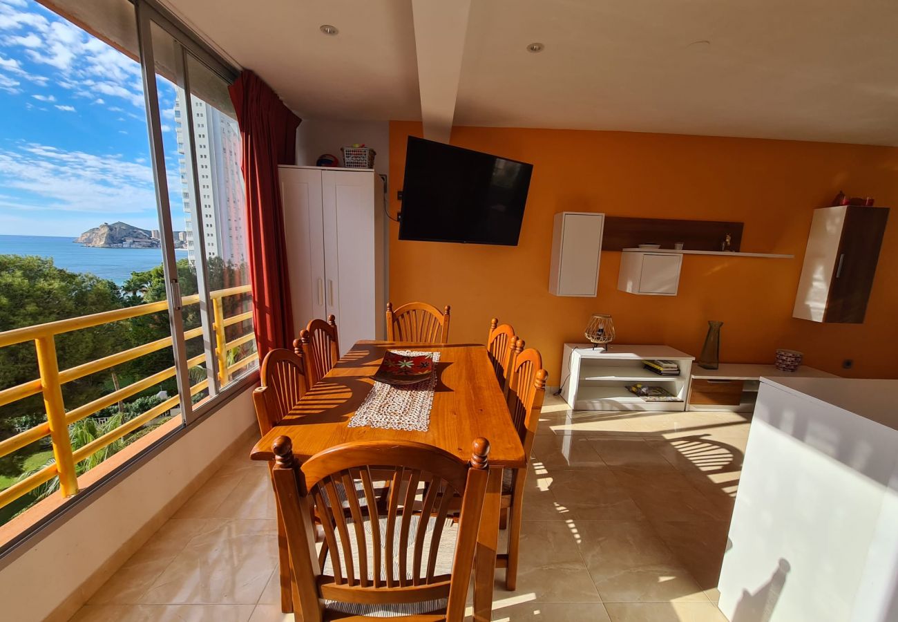 Apartamento en Benidorm - Apartamento  Provima B 5 IF Benidorm