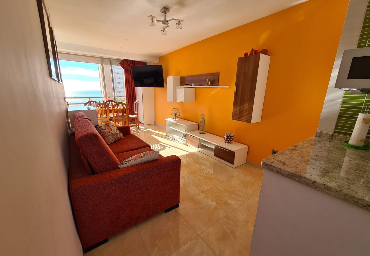 Apartamento en Benidorm - Apartamento  Provima B 5 IF Benidorm