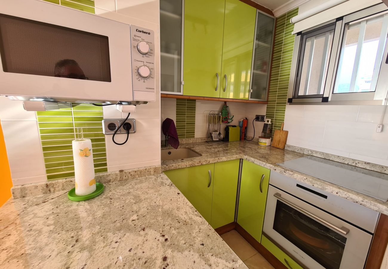 Apartamento en Benidorm - Apartamento  Provima B 5 IF Benidorm