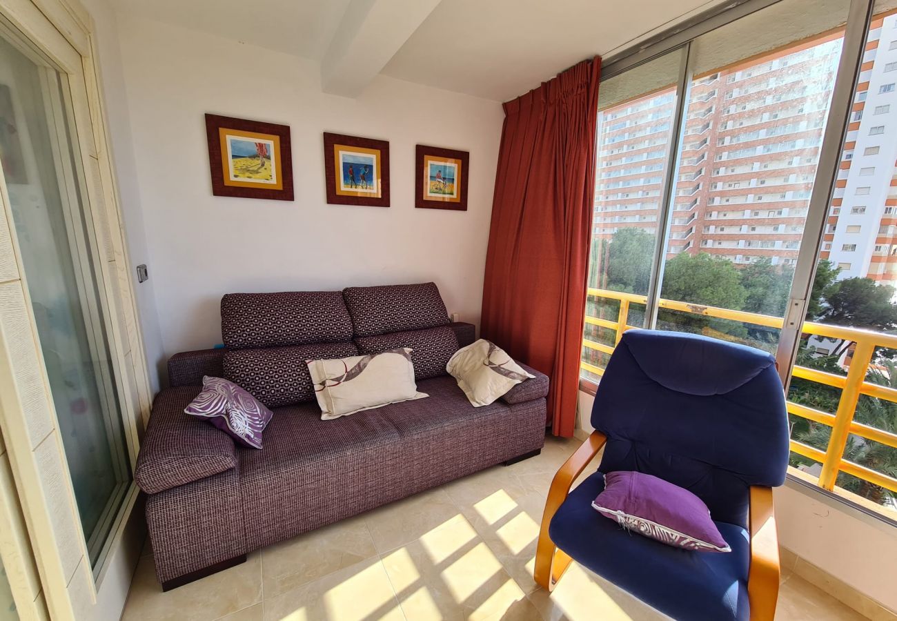 Apartamento en Benidorm - Apartamento  Provima B 5 IF Benidorm