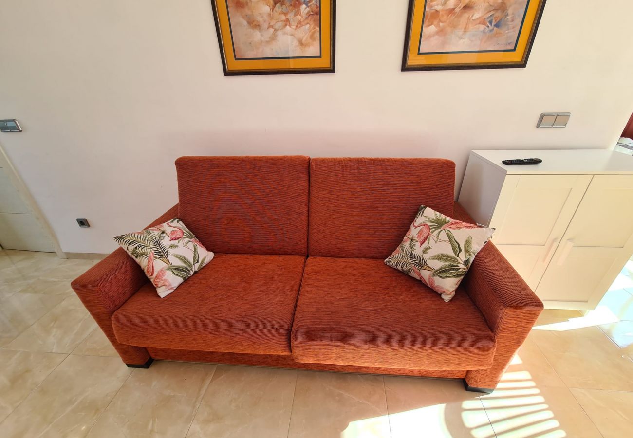 Apartamento en Benidorm - Apartamento  Provima B 5 IF Benidorm