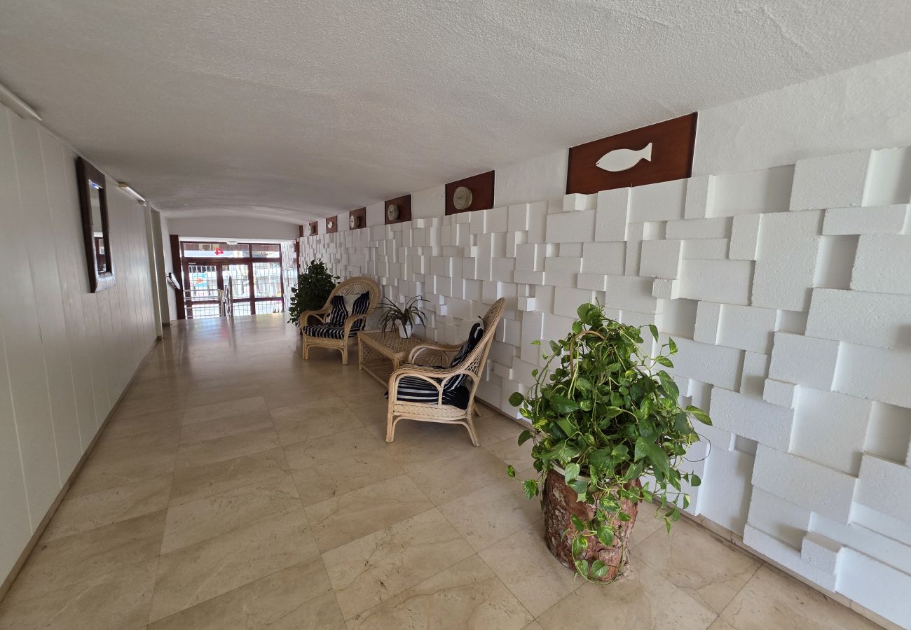 Apartamento en Benidorm - Atico Piscis IF Benidorm
