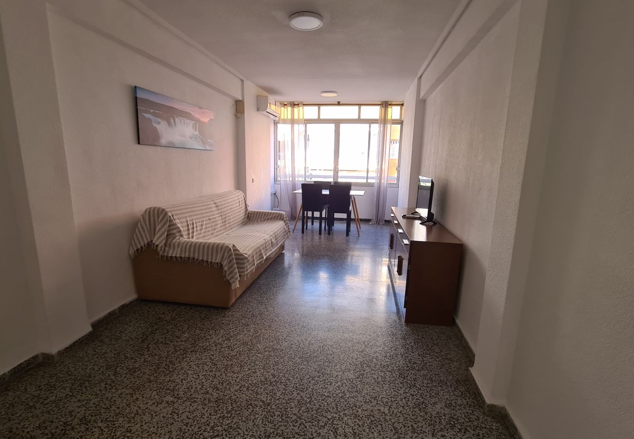 Apartamento en Benidorm - Apartamento  Nereida Centro IF Benidorm