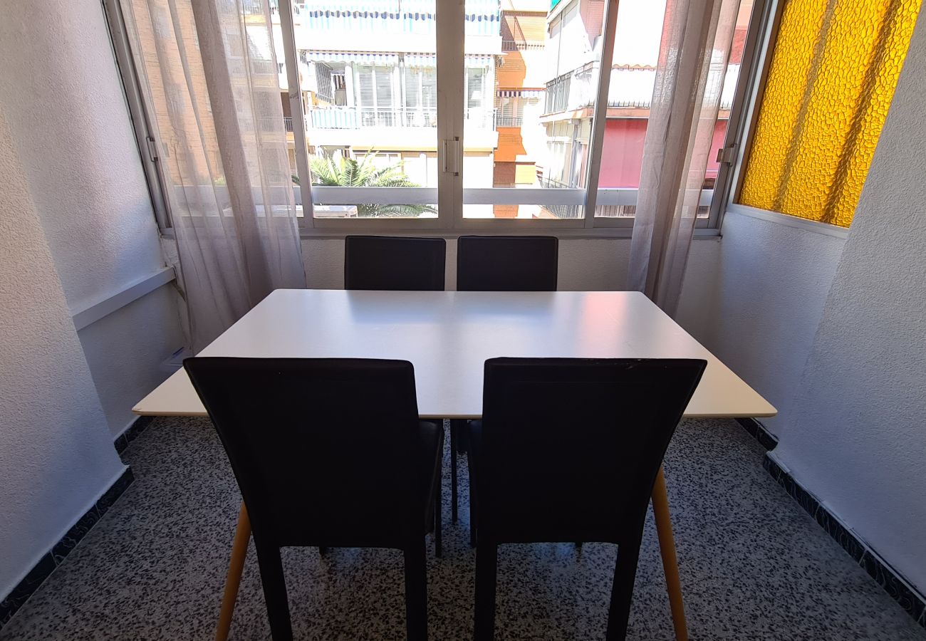 Apartamento en Benidorm - Apartamento  Nereida Centro IF Benidorm