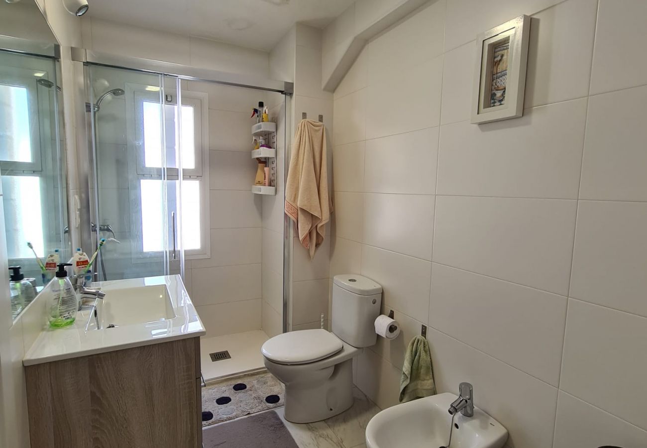 Apartamento en Benidorm - Apartamento  El Circo IF Benidorm