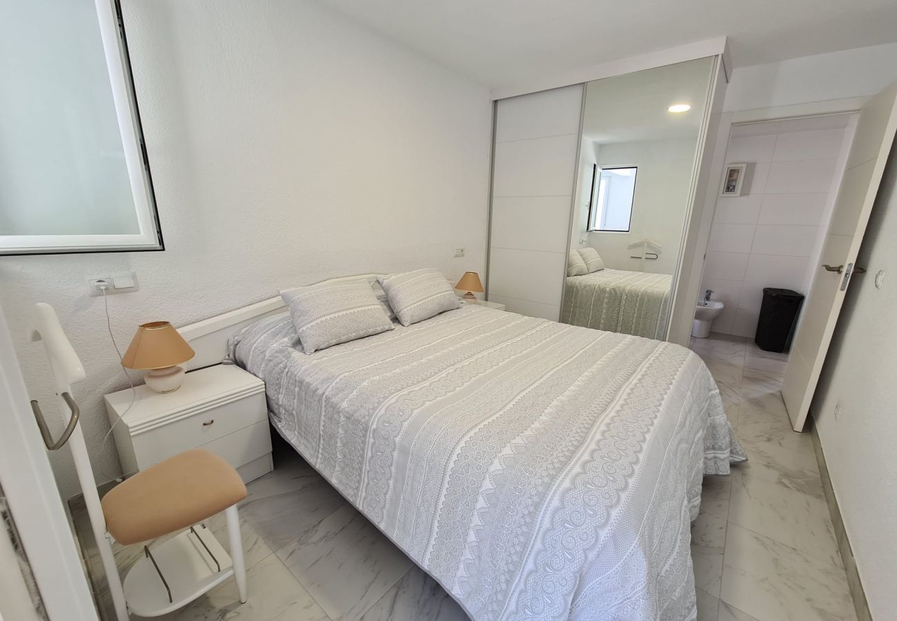 Apartamento en Benidorm - Apartamento  El Circo IF Benidorm