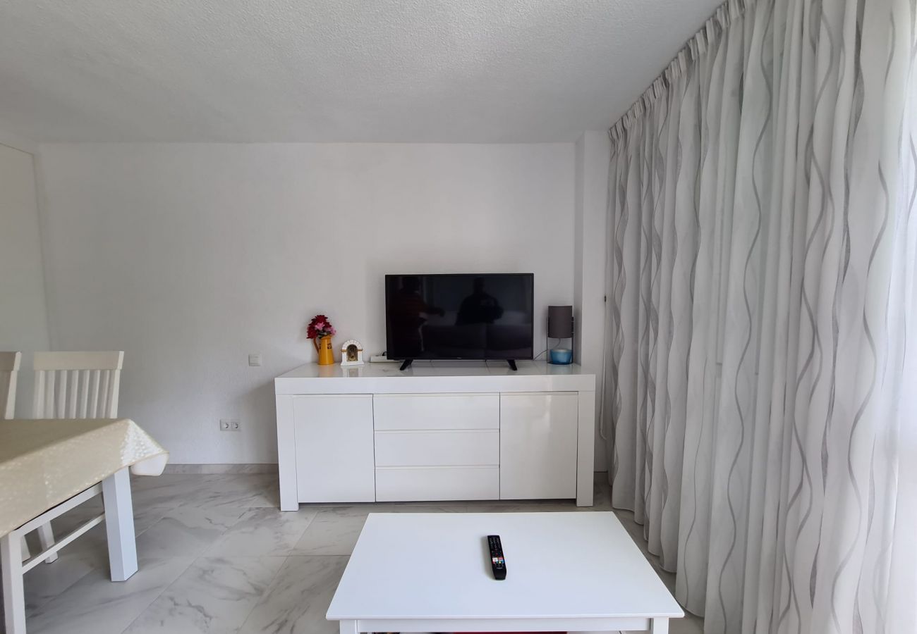 Apartamento en Benidorm - Apartamento  El Circo IF Benidorm