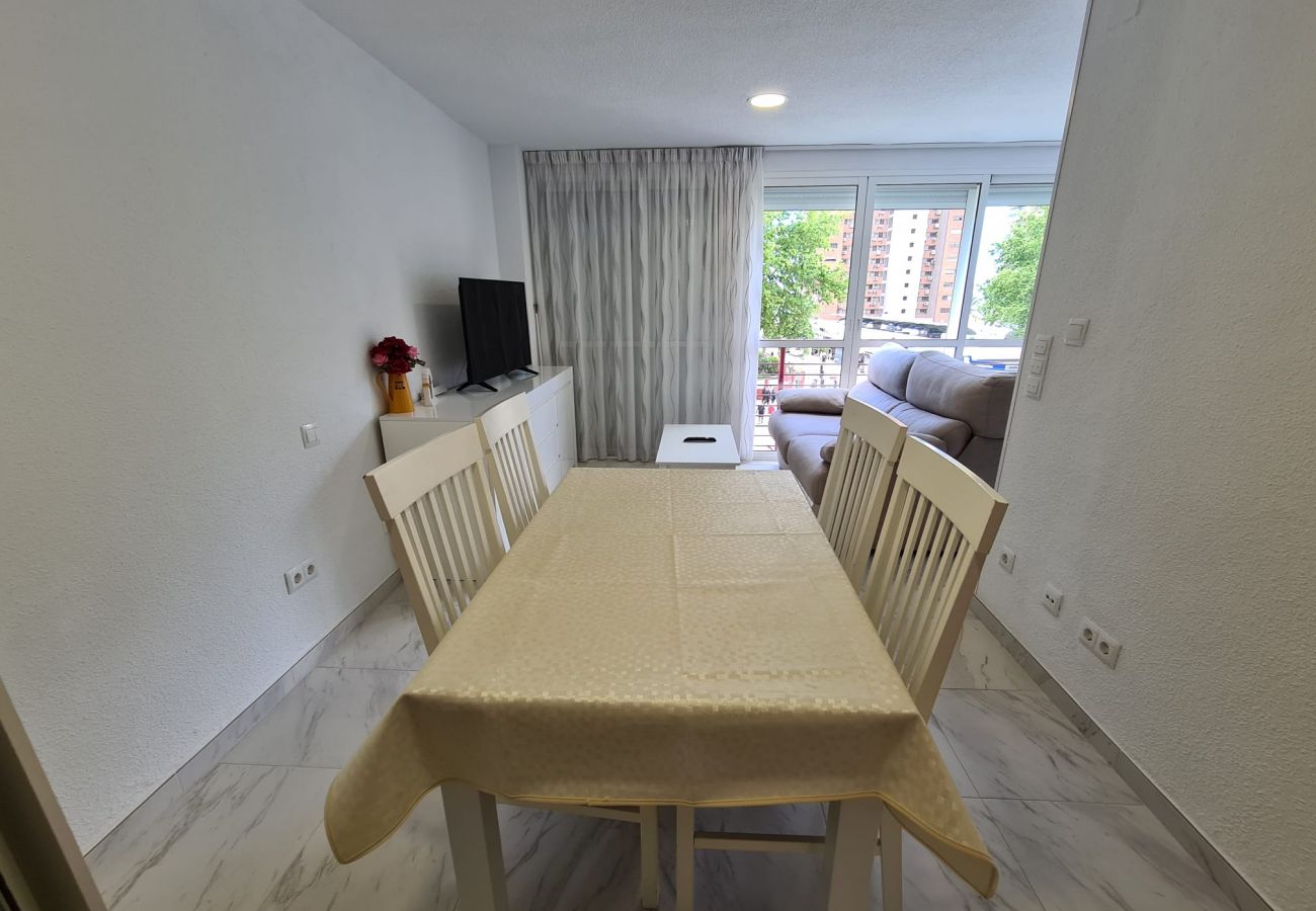 Apartamento en Benidorm - Apartamento  El Circo IF Benidorm