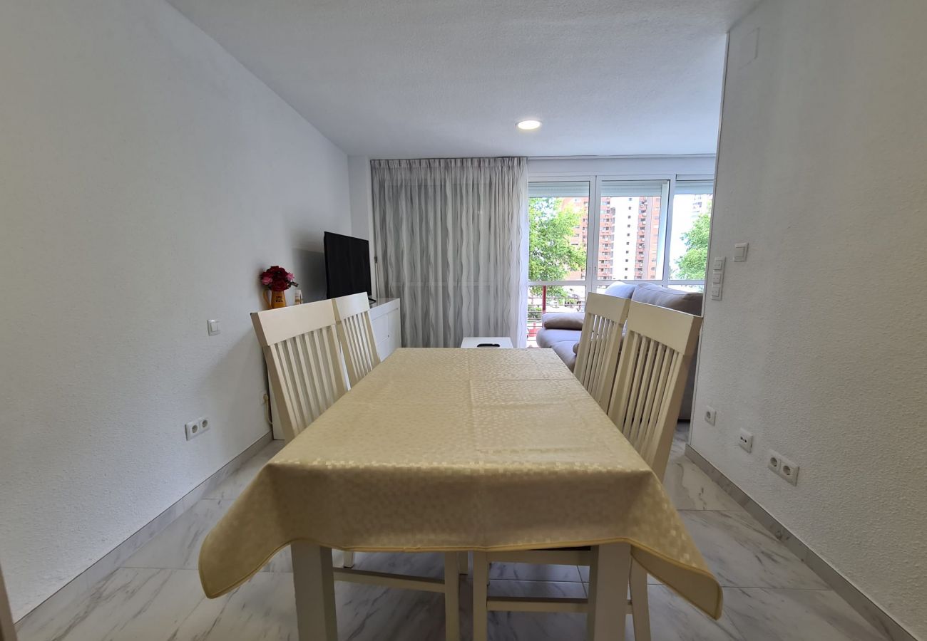 Apartamento en Benidorm - Apartamento  El Circo IF Benidorm