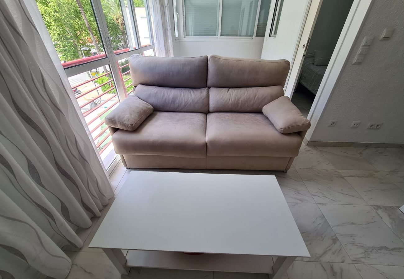 Apartamento en Benidorm - Apartamento  El Circo IF Benidorm