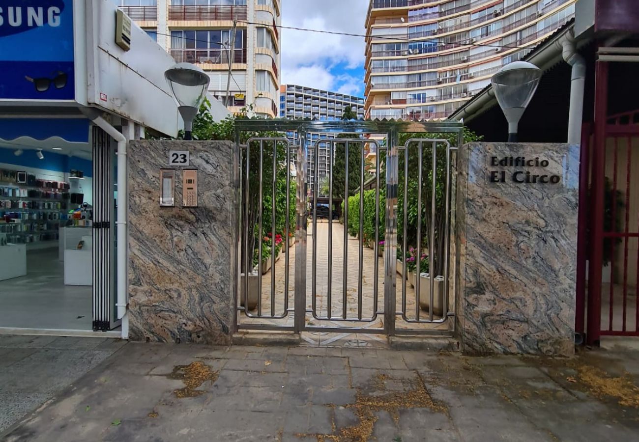 Apartamento en Benidorm - Apartamento  El Circo IF Benidorm