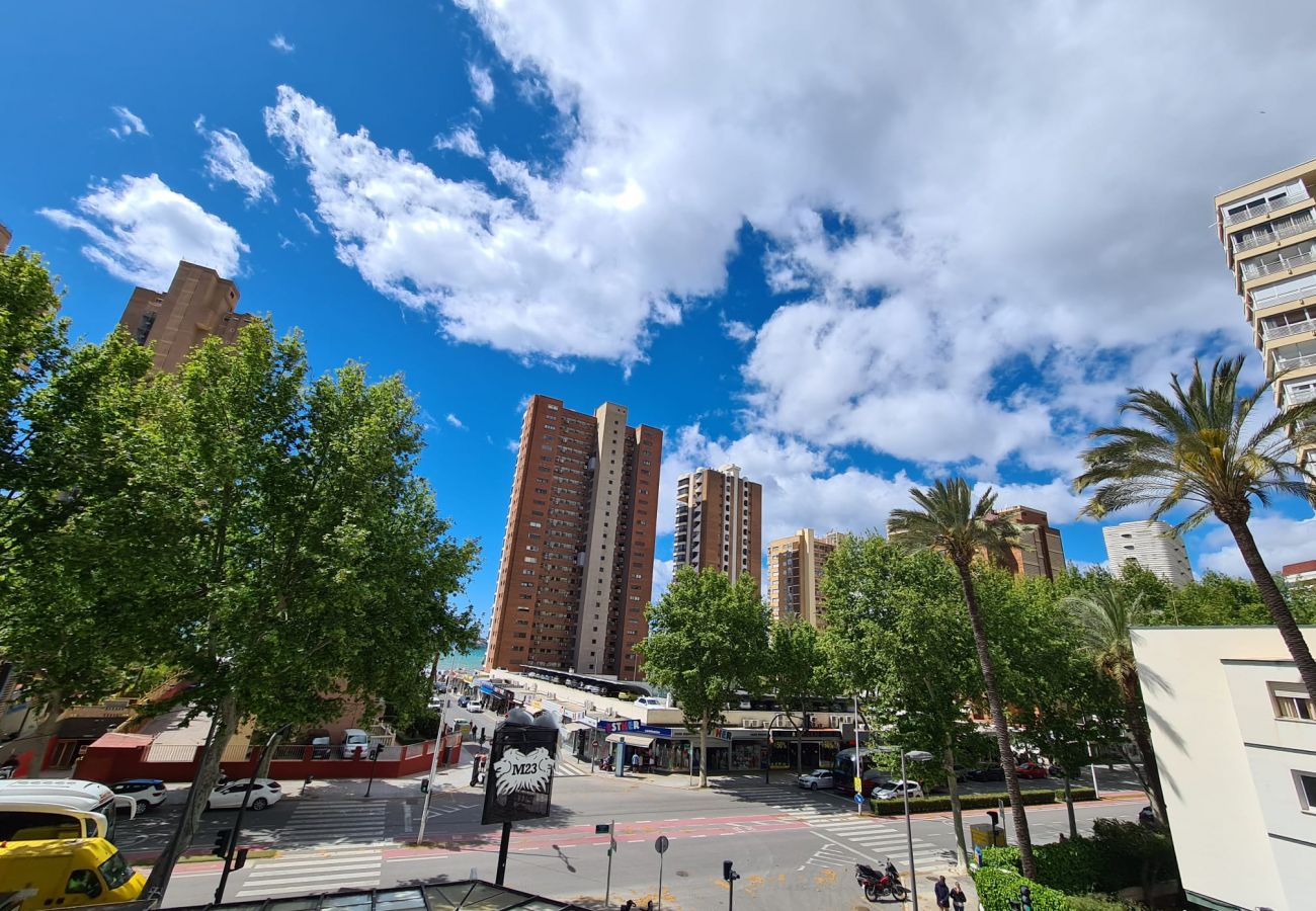 Apartamento en Benidorm - Apartamento  El Circo IF Benidorm