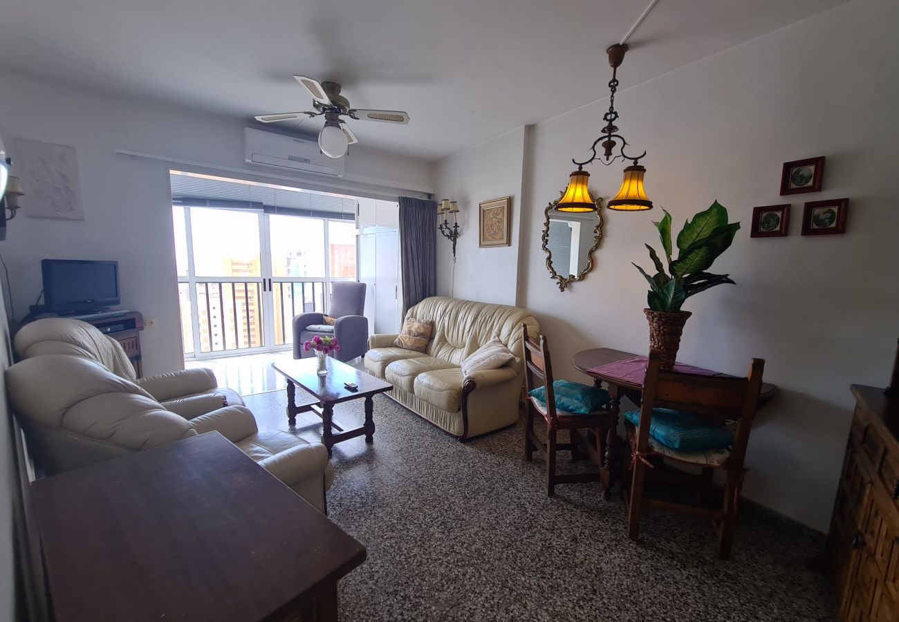 Apartamento en Benidorm - Apartamento  Acacias IV 15 IF Benidorm