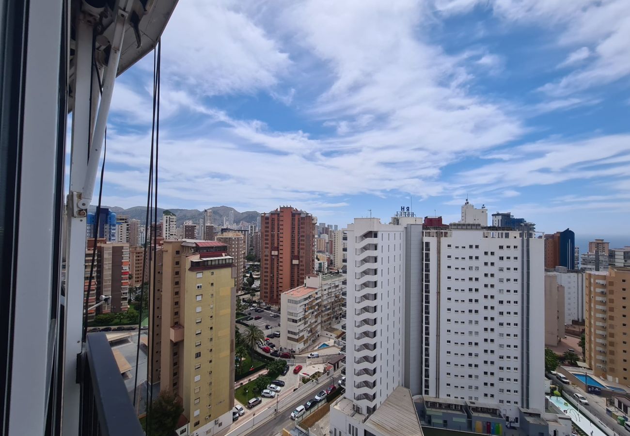 Apartamento en Benidorm - Apartamento  Acacias IV 15 IF Benidorm