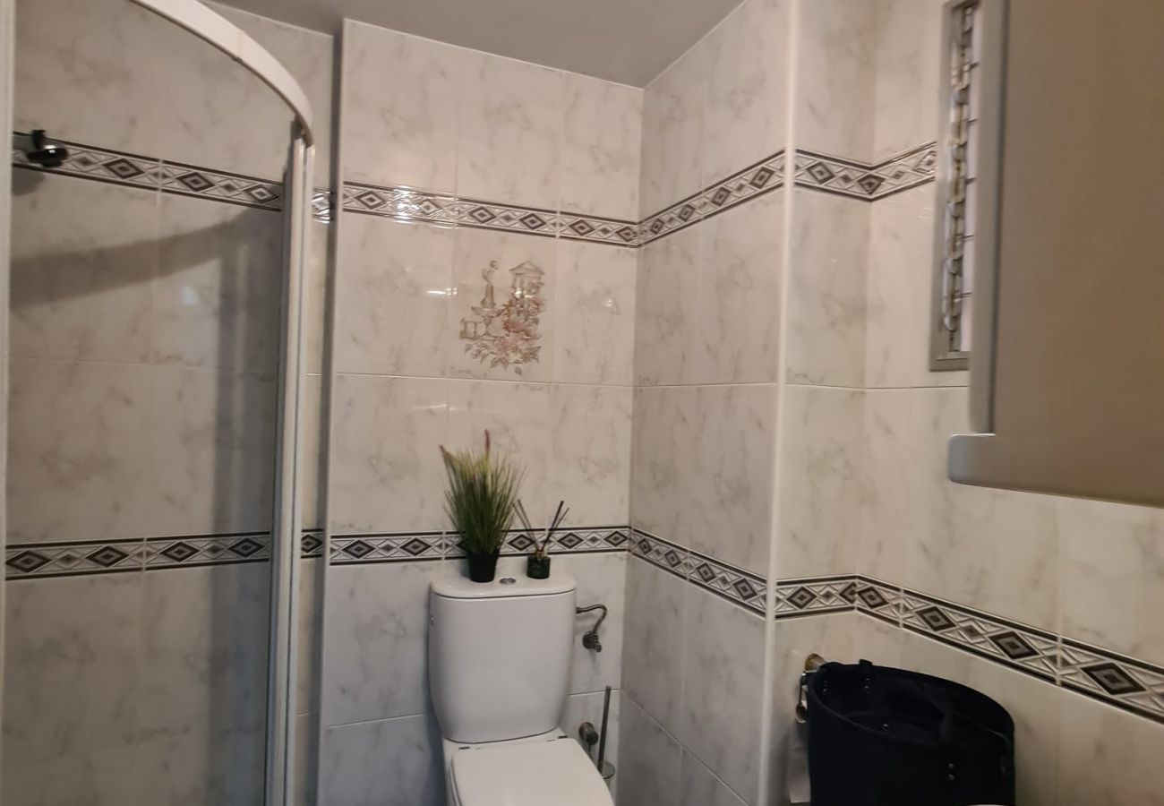 Apartamento en Benidorm - Apartamento  Acacias IV 15 IF Benidorm