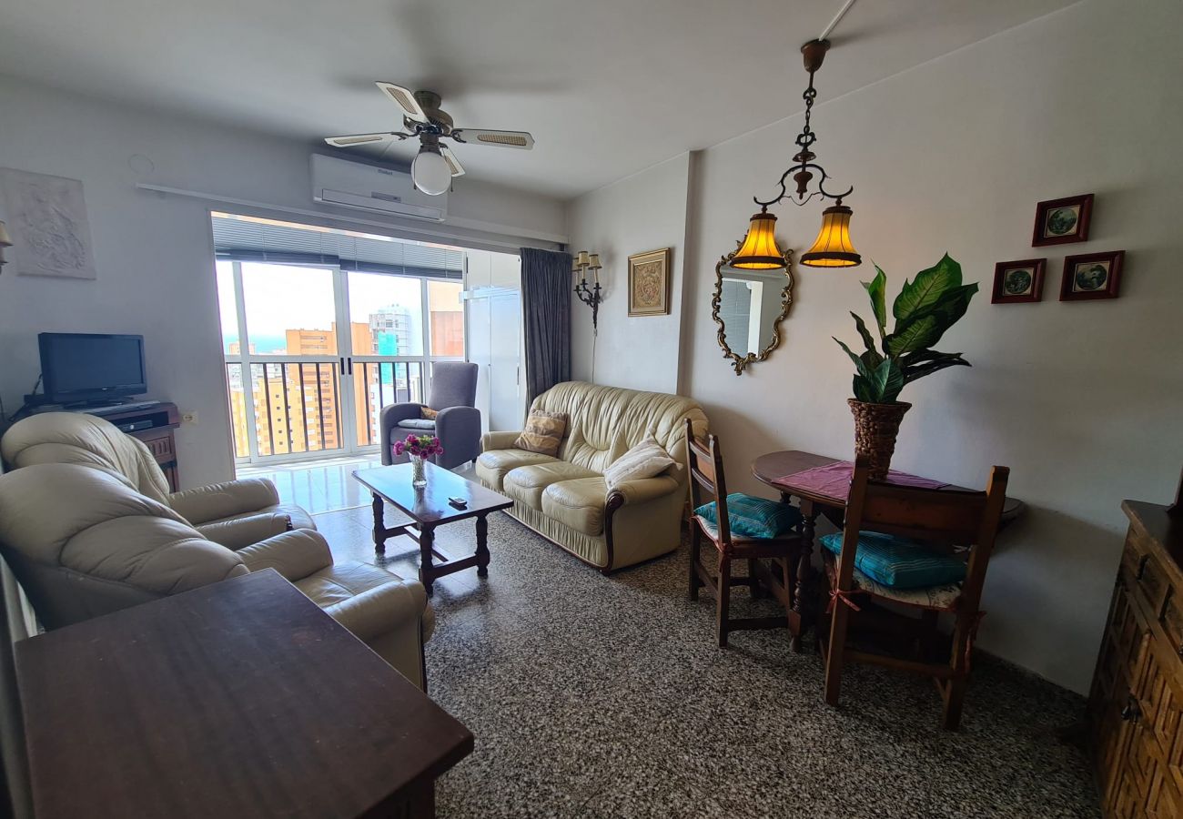 Apartamento en Benidorm - Apartamento  Acacias IV 15 IF Benidorm