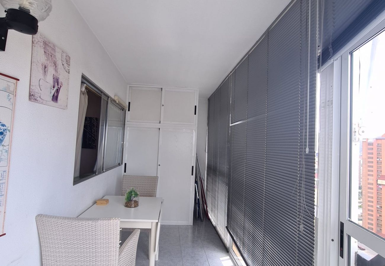 Apartamento en Benidorm - Apartamento  Acacias IV 15 IF Benidorm