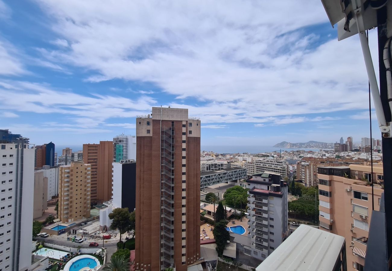 Apartamento en Benidorm - Apartamento  Acacias IV 15 IF Benidorm