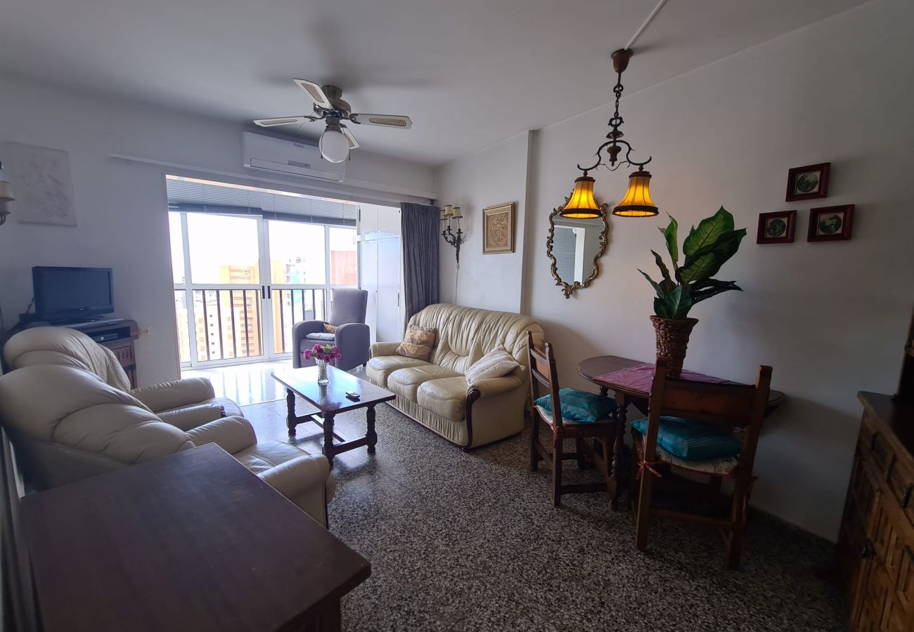 Apartamento en Benidorm - Apartamento  Acacias IV 15 IF Benidorm