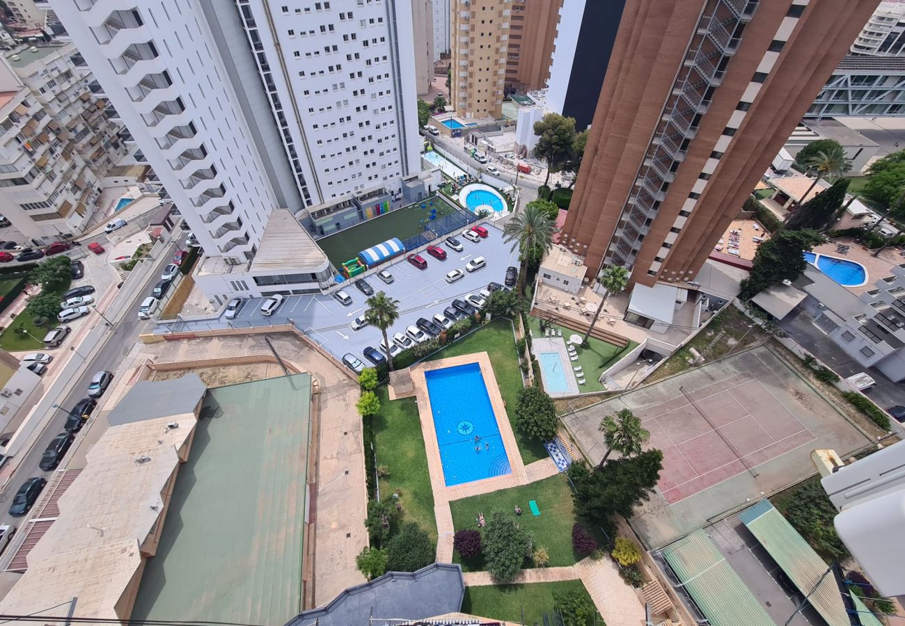 Apartamento en Benidorm - Apartamento  Acacias IV 15 IF Benidorm