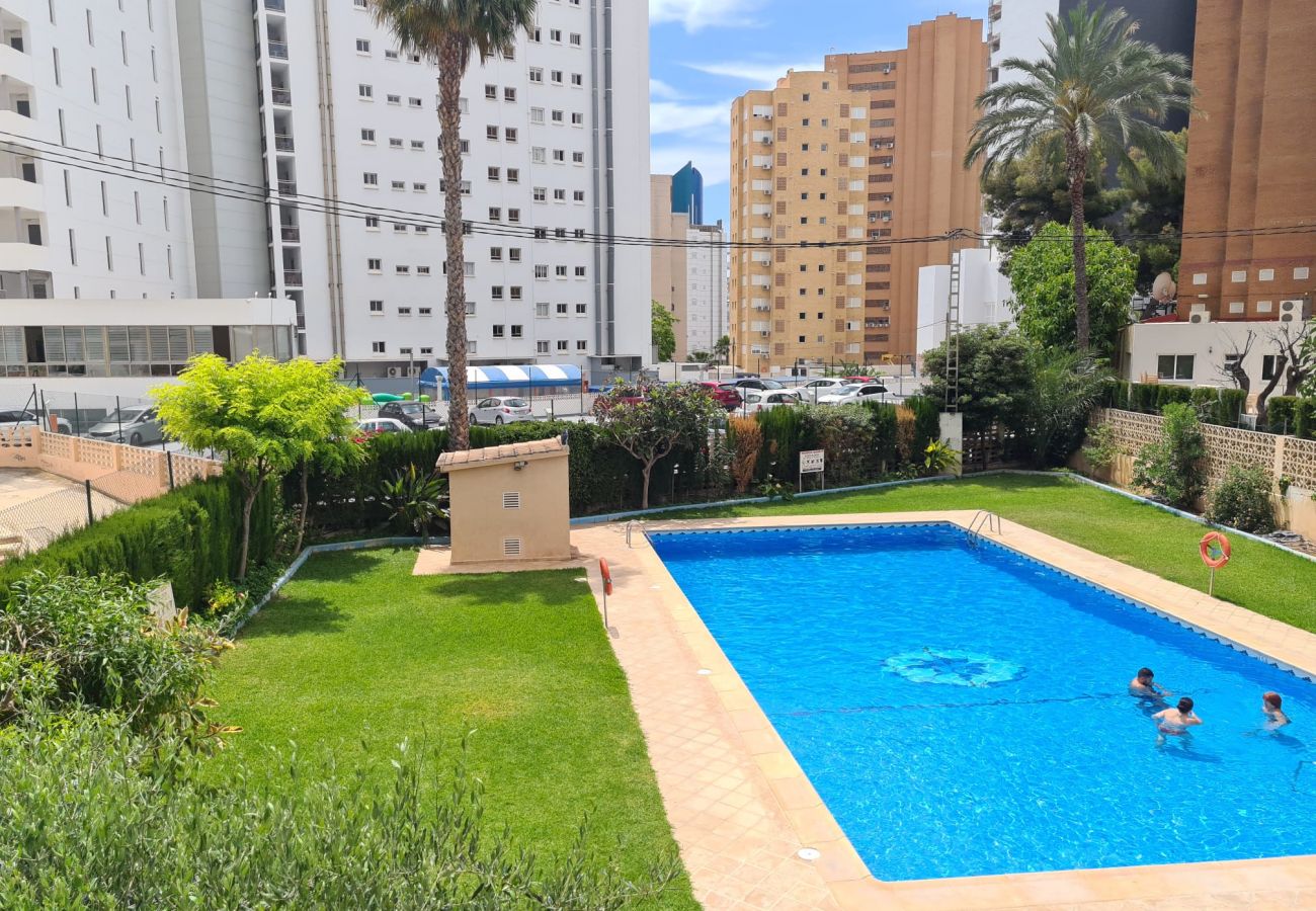 Apartamento en Benidorm - Apartamento  Acacias IV 15 IF Benidorm