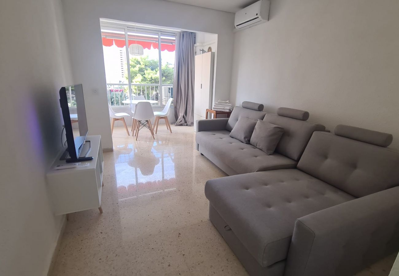 Apartamento en Benidorm - Apartamento Karola 3 IF Benidorm