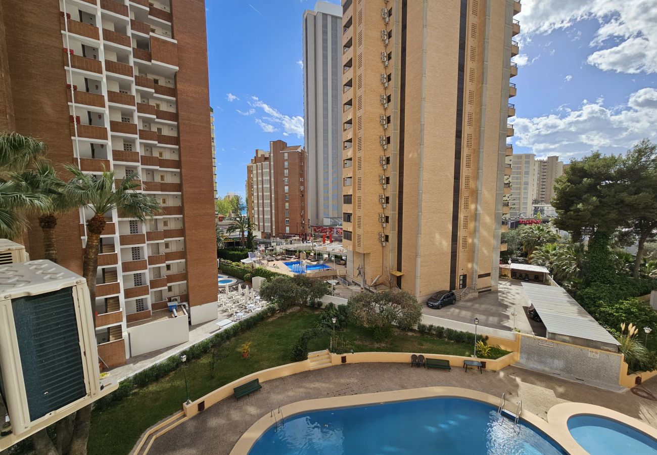 Apartamento en Benidorm - Apartamento Karola 3 IF Benidorm