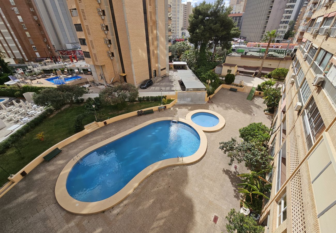 Apartamento en Benidorm - Apartamento Karola 3 IF Benidorm