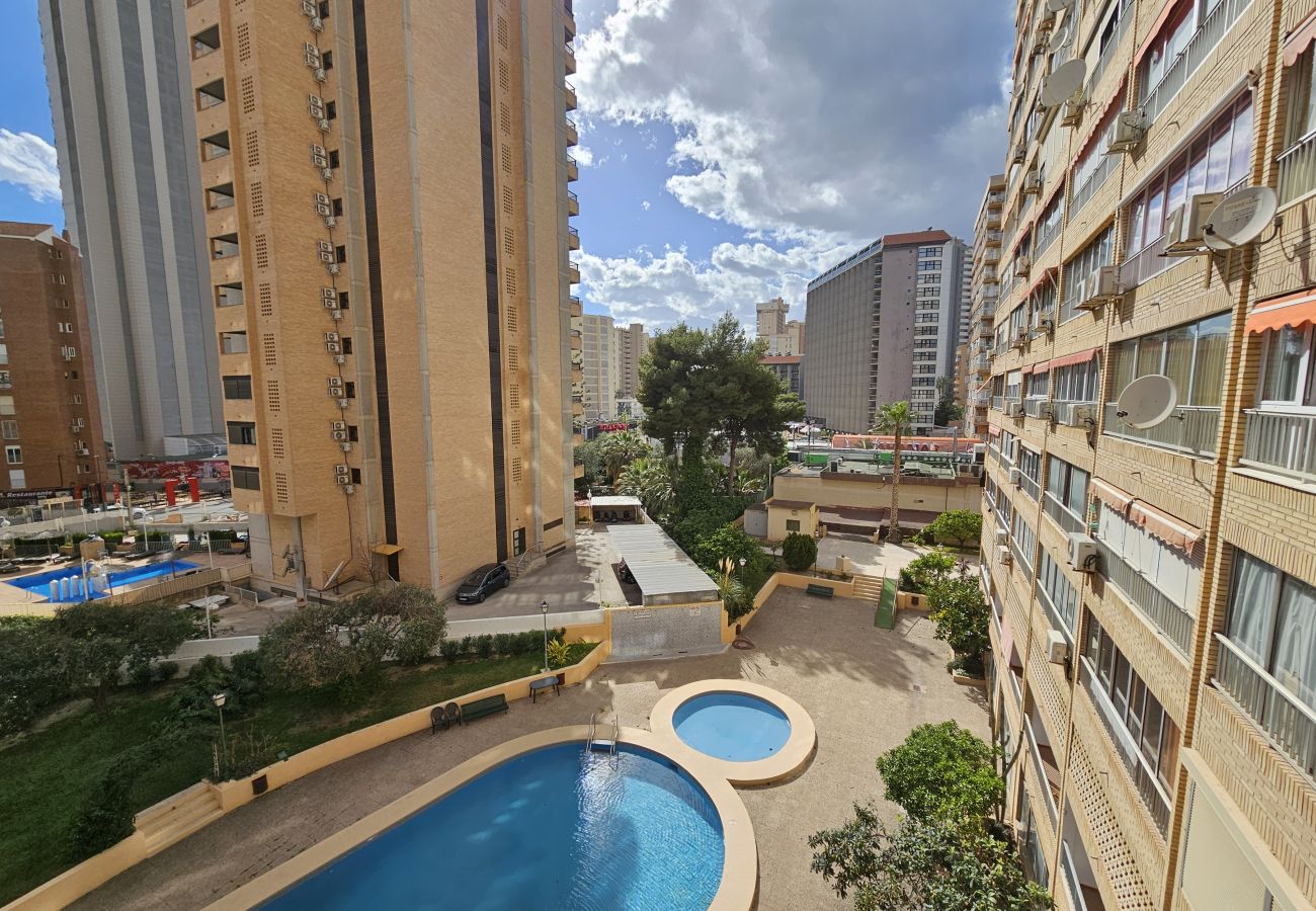 Apartamento en Benidorm - Apartamento Karola 3 IF Benidorm